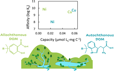 Figure showing how the nature of natural dissolved organic matter varies between two lakes and how this affects its ability to bind copper and nickel.