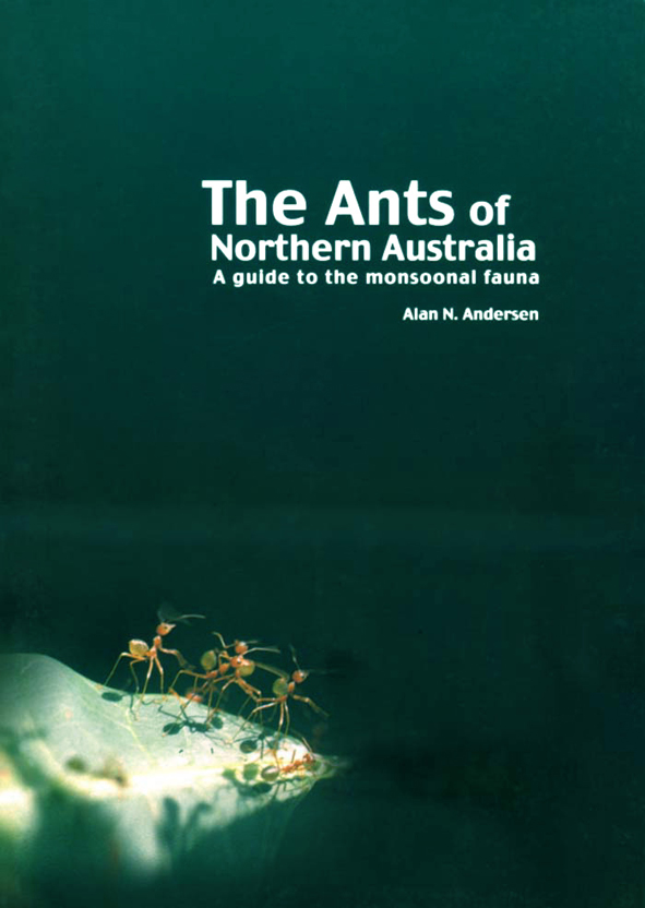 The cover image featuring four red coloured ants on a stone ground surrounded by a plain black cover.