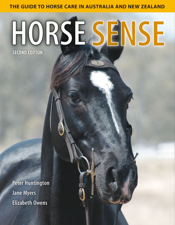 The cover image of Horse Sense, featuring the head and top half of the body of a black horse with a white star, wearing a bridal, against an out of fo