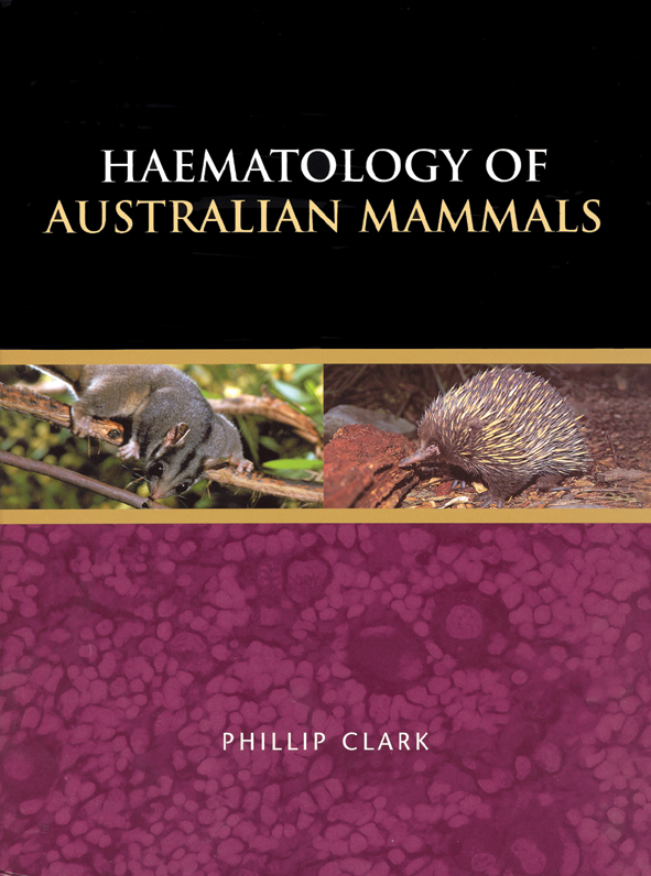 The cover image featuring a possum on a branch, and an echidna, in the middle, a purple patterned bottom half and a plain black top.