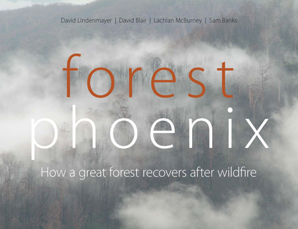 The cover image of Forest Phoenix, featuring a grey smoke filled photograph.