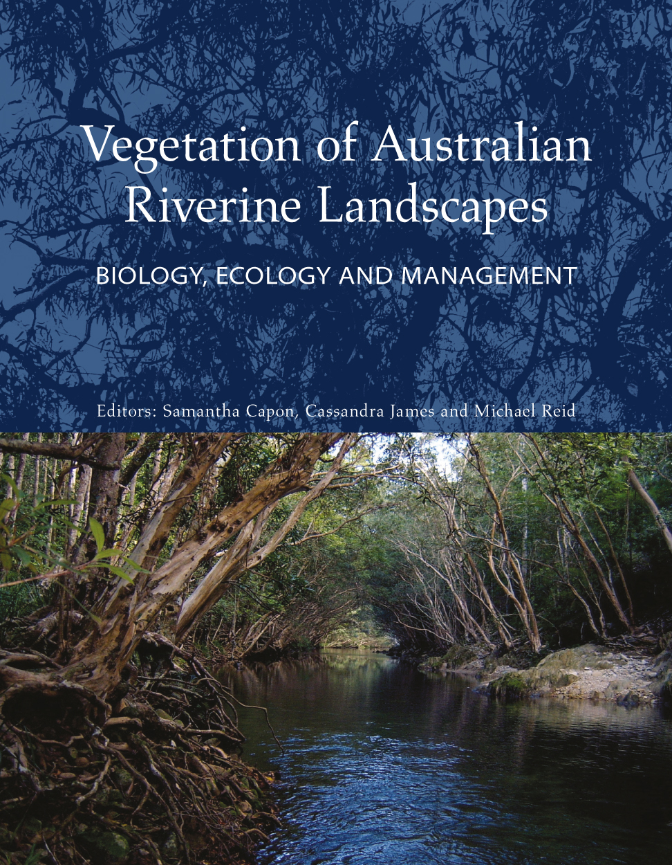 Cover image featuring Kanuka Box trees overarching Behana Creek in the Wet Tropics.