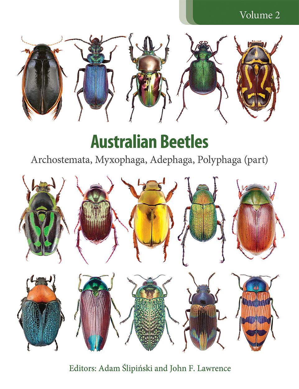 The cover image of Australian Beetles Volume 2, featuring 15 beetles of various shapes, colours and sizes in neat rows of five against a plain white b