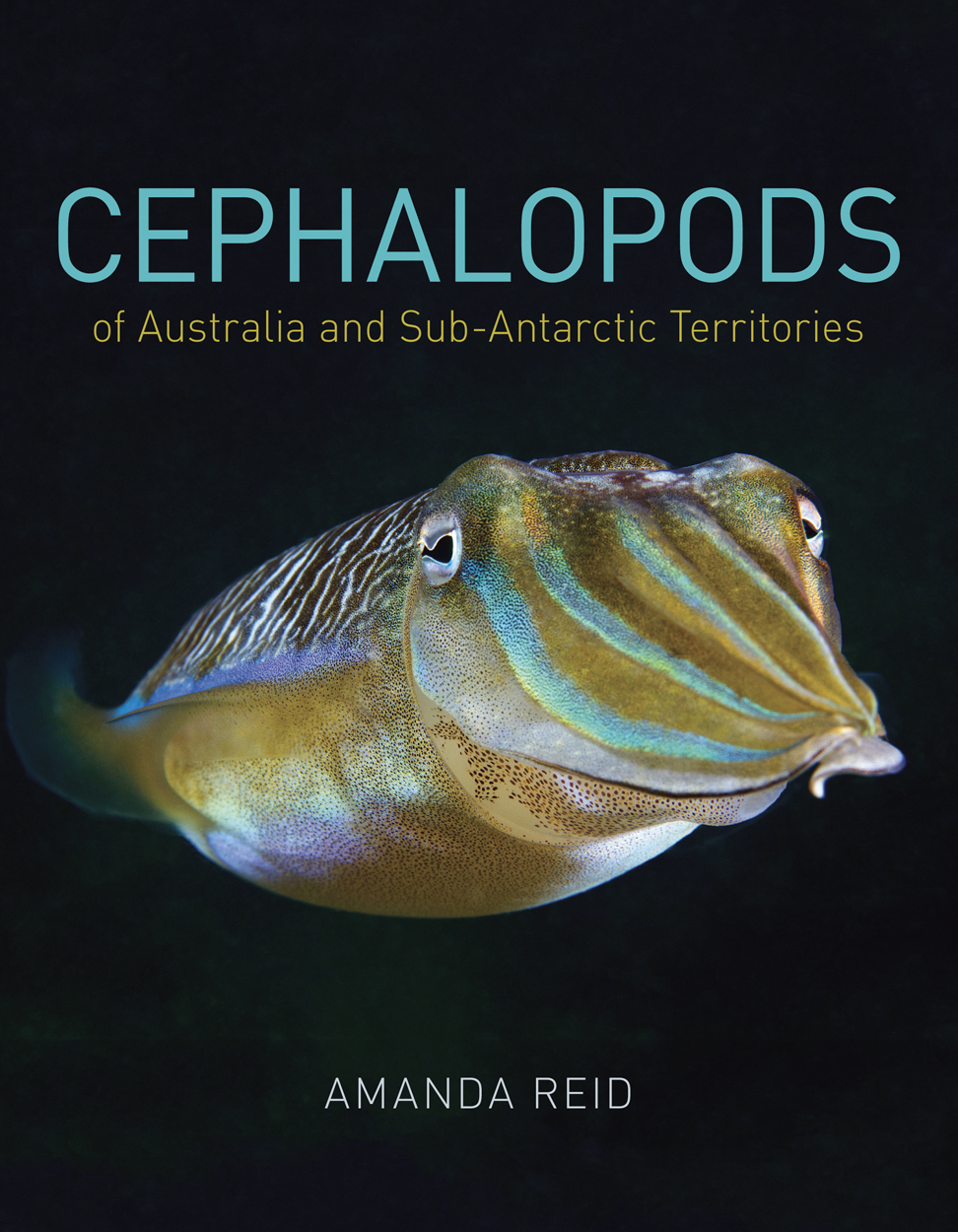 Cover image featuring a yellow and fluorescent blue cuttlefish on a black background.