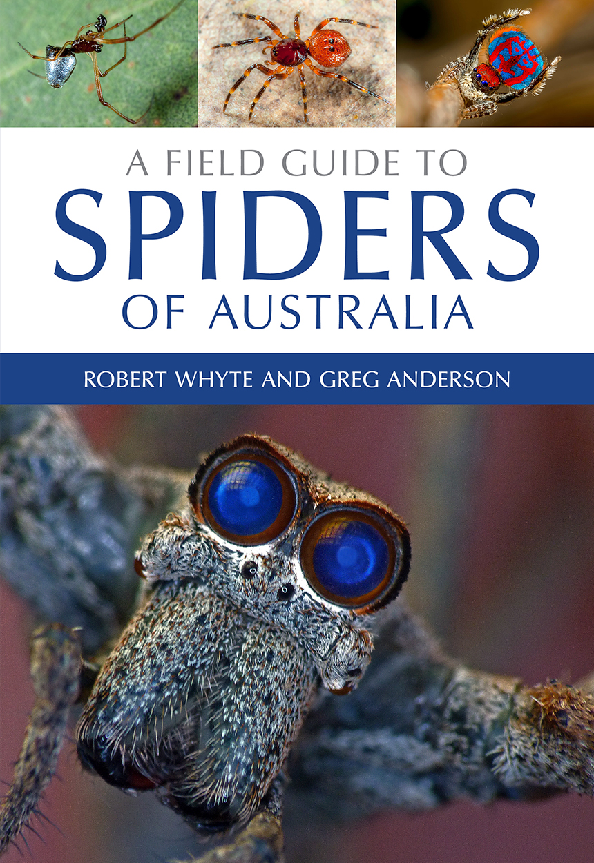 Cover featuring a close up photograph of the bright blue eyes of a peacock spider.