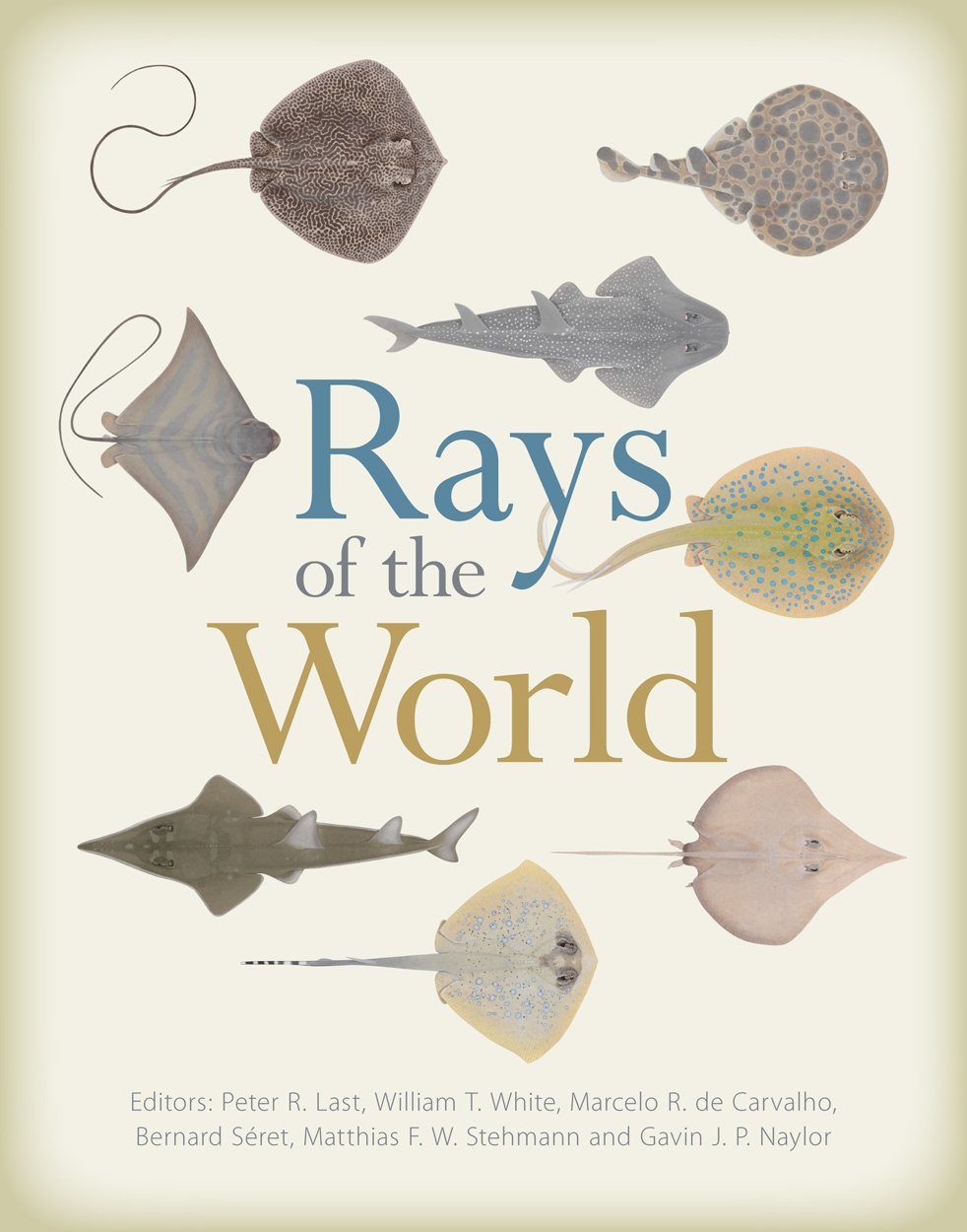 cover of Rays of the World