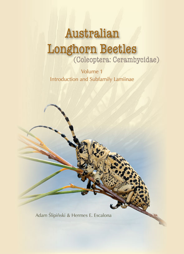 The cover image of Australian Longhorn Beetles, featuring a black and white longhorn beetle resting on a green twig, with a pale cream and sky blue ba