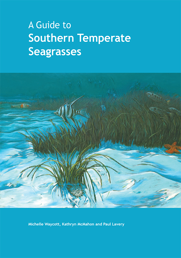 The cover image featuring a picture of seagrass in the ocean with a bright blue background.