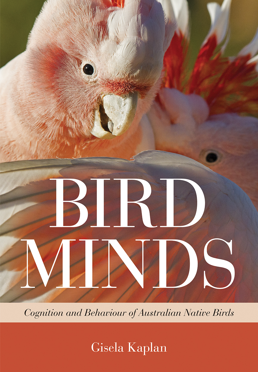 Close up image of two pink Major Mitchell cockatoos. The title is overlaid on the wing.