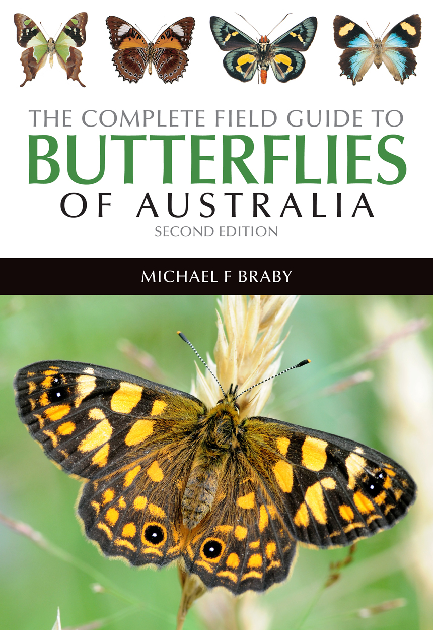 Cover featuring a prominent image of an orange and black butterfly against a green background and thumbnails of four other butterflies across the top.