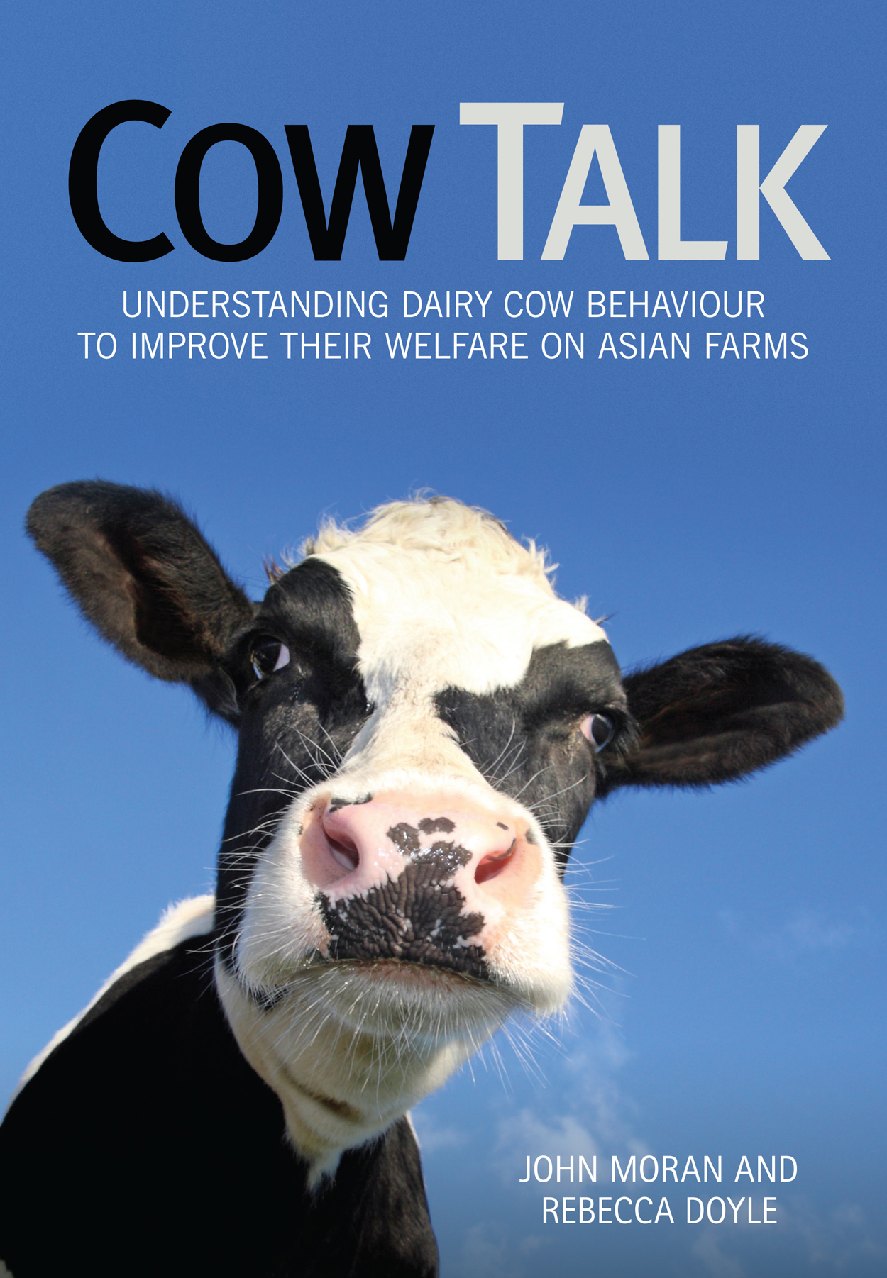 Cover image of Cow Talk, featuring a close-up photo of a dairy cow on a blue background