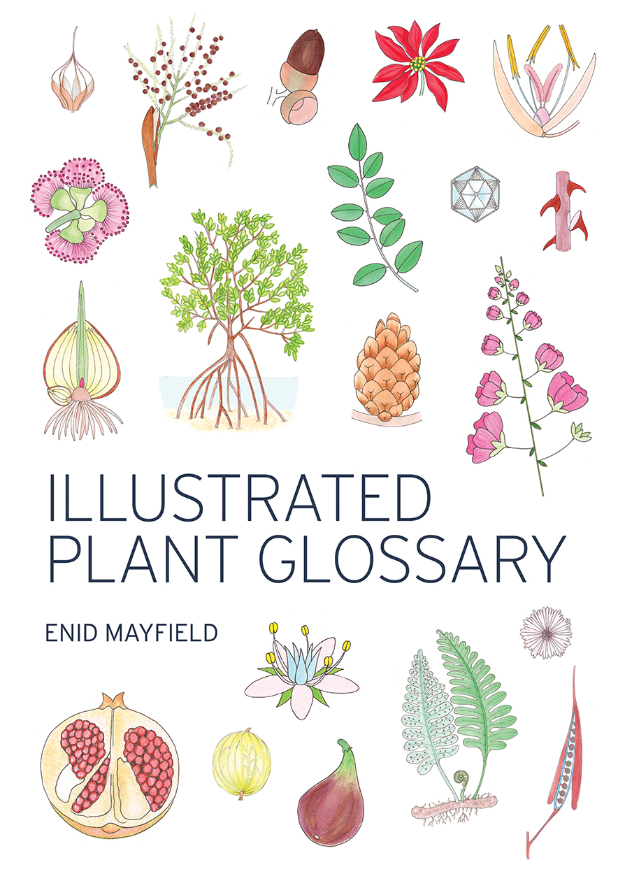 Cover of Illustrated Plant Glossary, featuring a variety of colourful plant illustrations upon a white background.