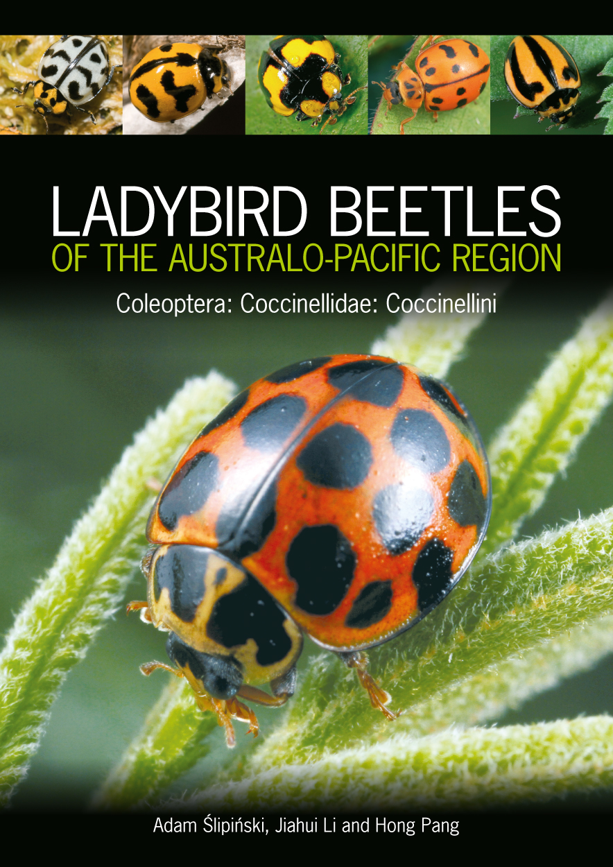 Cover of Ladybird Beetles of the Australo-Pacific Region featuring a large photo of <i>Harmonia conformis</i> and a row of smaller ladybird beetle pho