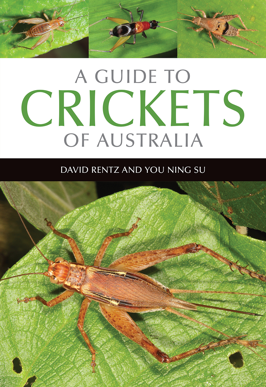 Cover of A Guide to Crickets of Australia, featuring a large photo of Cardiodactylus novaeguineae and smaller photos of three other crickets.