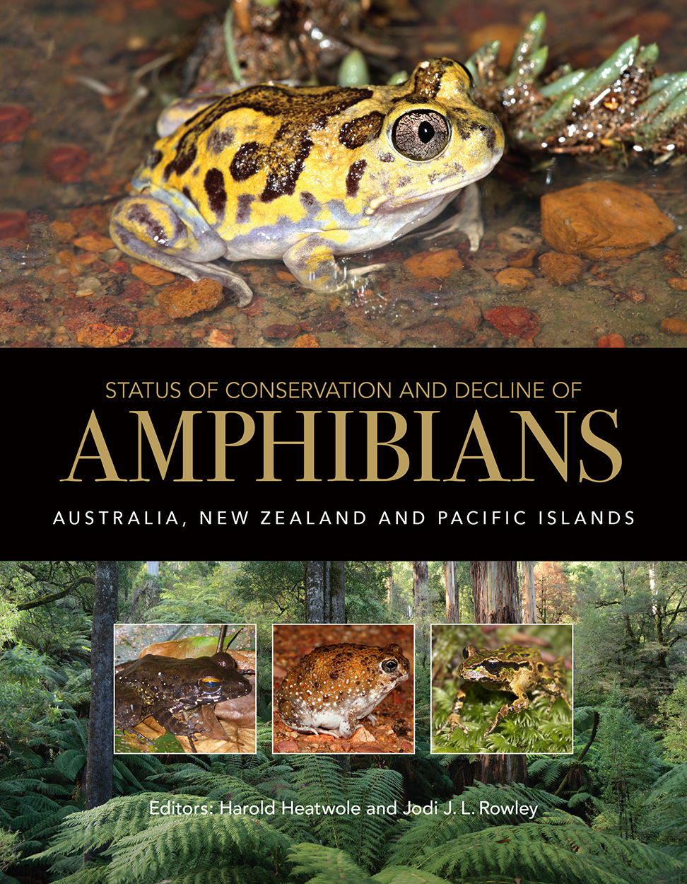 Cover featuring a large image of a yellow Neobatrachus sutor and small images of other frogs