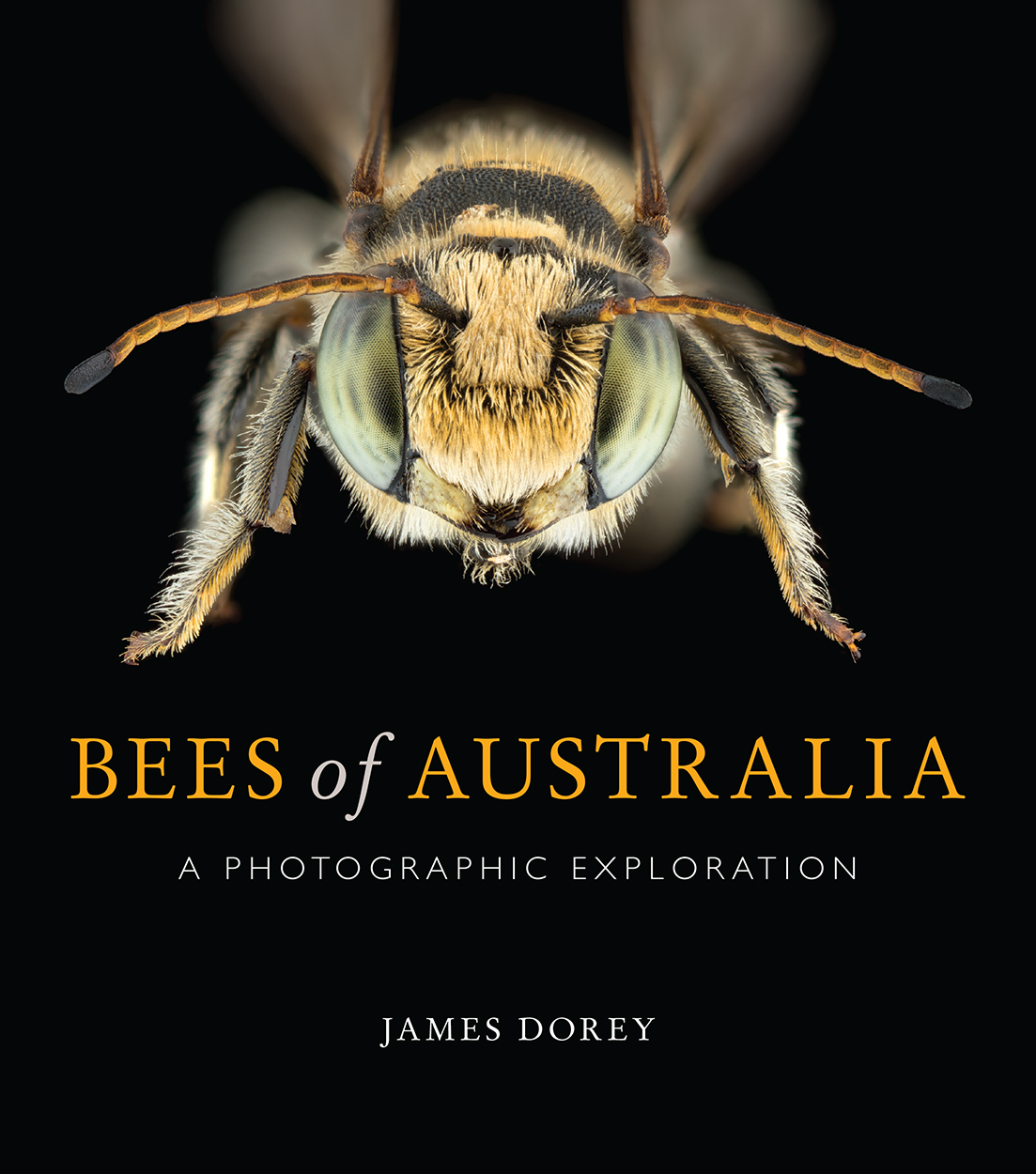 Cover of Bees of Australia featuring a macro photograph of a bee facing directly towards the reader