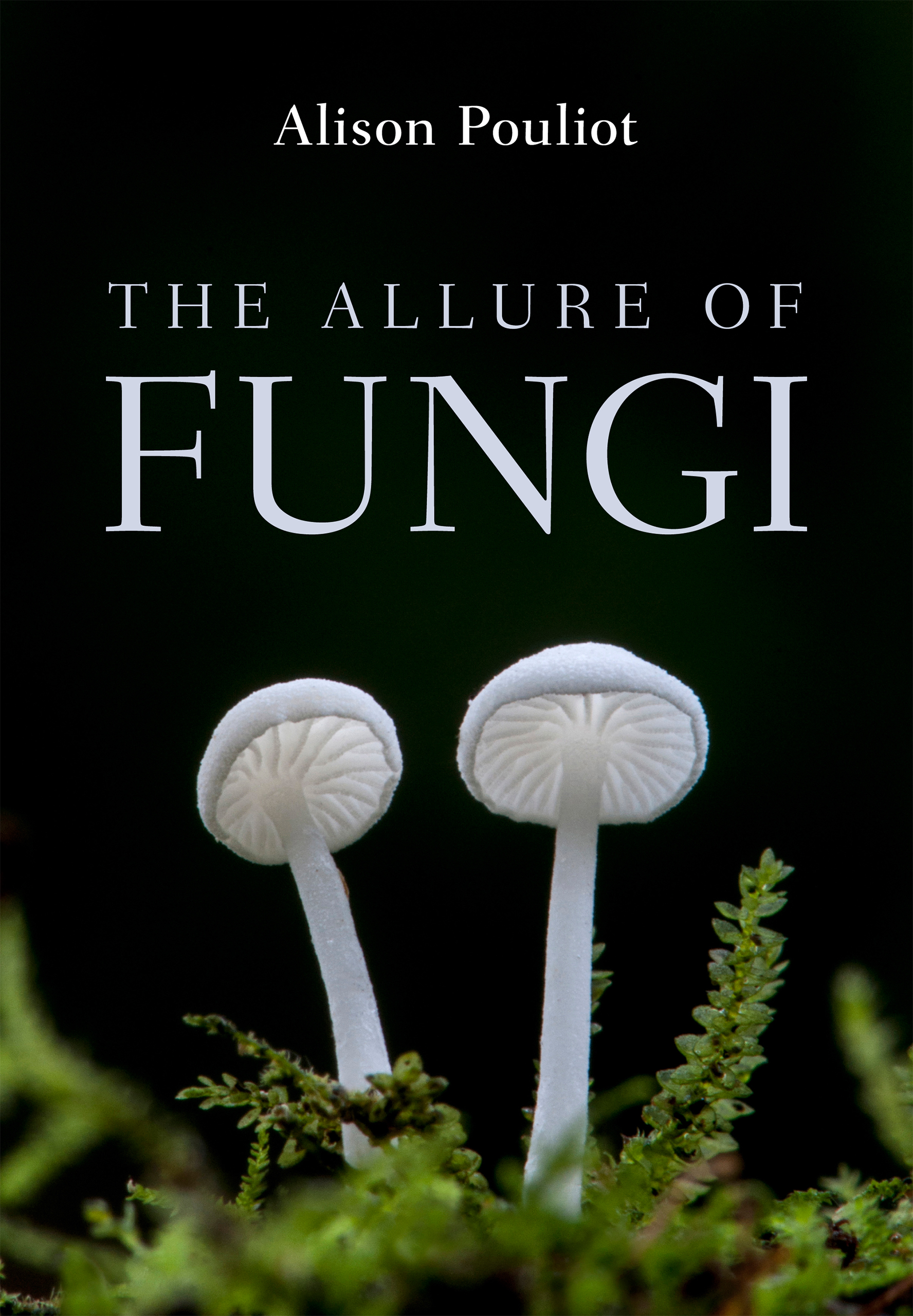 Cover of 'The Allure of Fungi' showing two pale grey mushrooms against a black background.