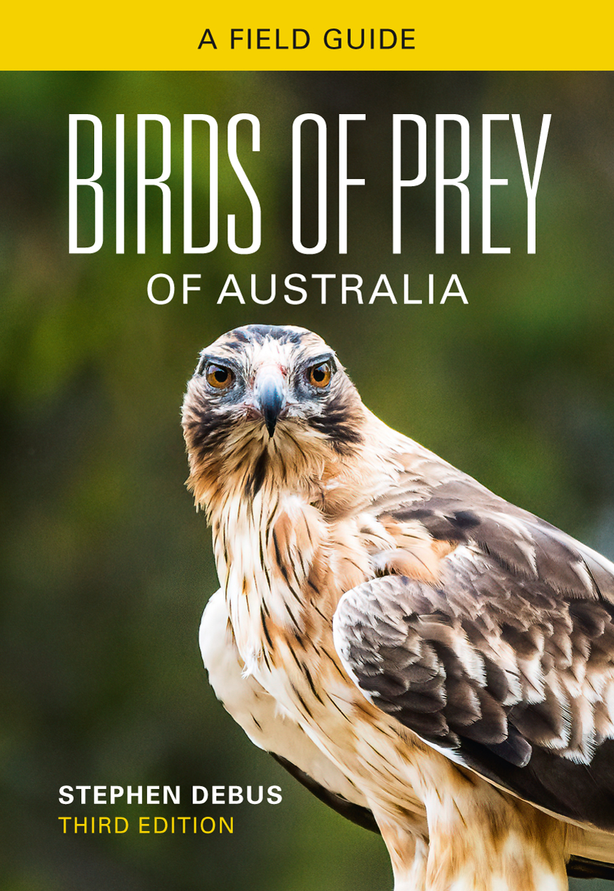 Cover of Birds of Prey of Australia Third Edition, featuring a little eagle staring directly ahead, on a green background