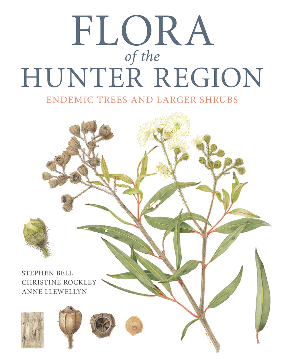 Cover of Flora of the Hunter Region featuring botanical illustrations of Angophora inopina leaves, flowers and gumnuts