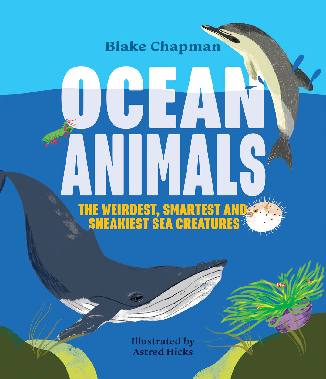 Ocean Animals Blake Chapman Astred Hicks