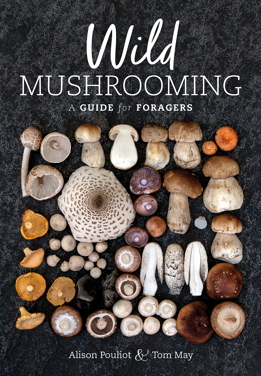 Cover of 'Wild Mushrooming' featuring a photograph of a broad range of different mushrooms laid out in a square upon a textured black background.