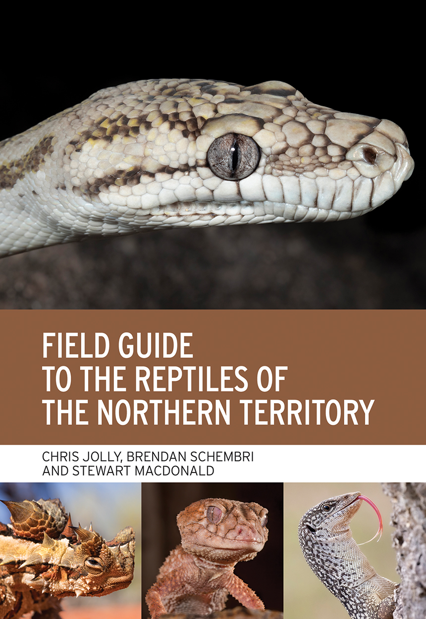 Cover of 'Field Guide to the Reptiles of the Northern Territory' featuring photos of a python's head, a thorny devil, a knob-tailed gecko and a spotte