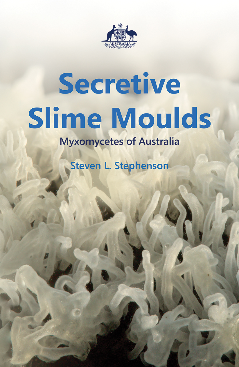 Cover of Secretive Slime Moulds showing the title in blue upon a background image of a pale grey slime mould.