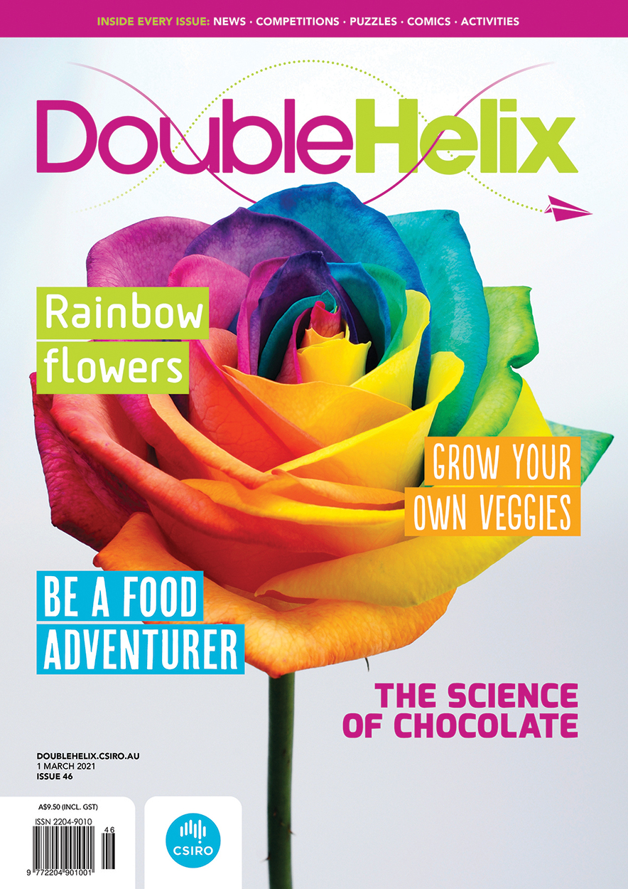 Cover of Double Helix magazine Issue 46, featuring a rose with brightly-coloured petals of rainbow colours, upon a white background.