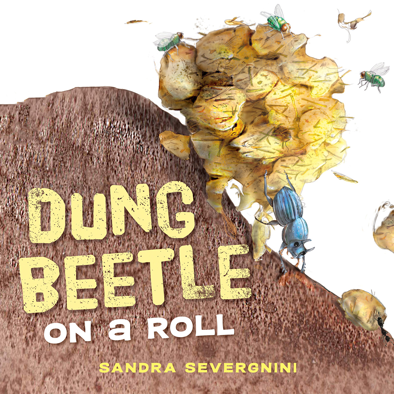 Cover of 'Dung Beetle on a Roll' with an illustration of a dung beetle pushing a fly-covered ball of dung up a dirt mound.