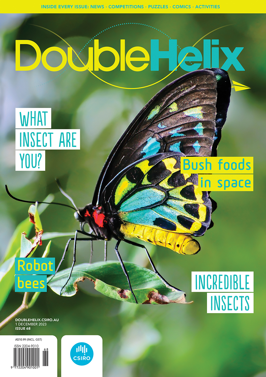 Cover of 'Double Helix' magazine issue 68, featuring a photograph of a beautiful red, turquoise and yellow butterfly resting on a leaf.