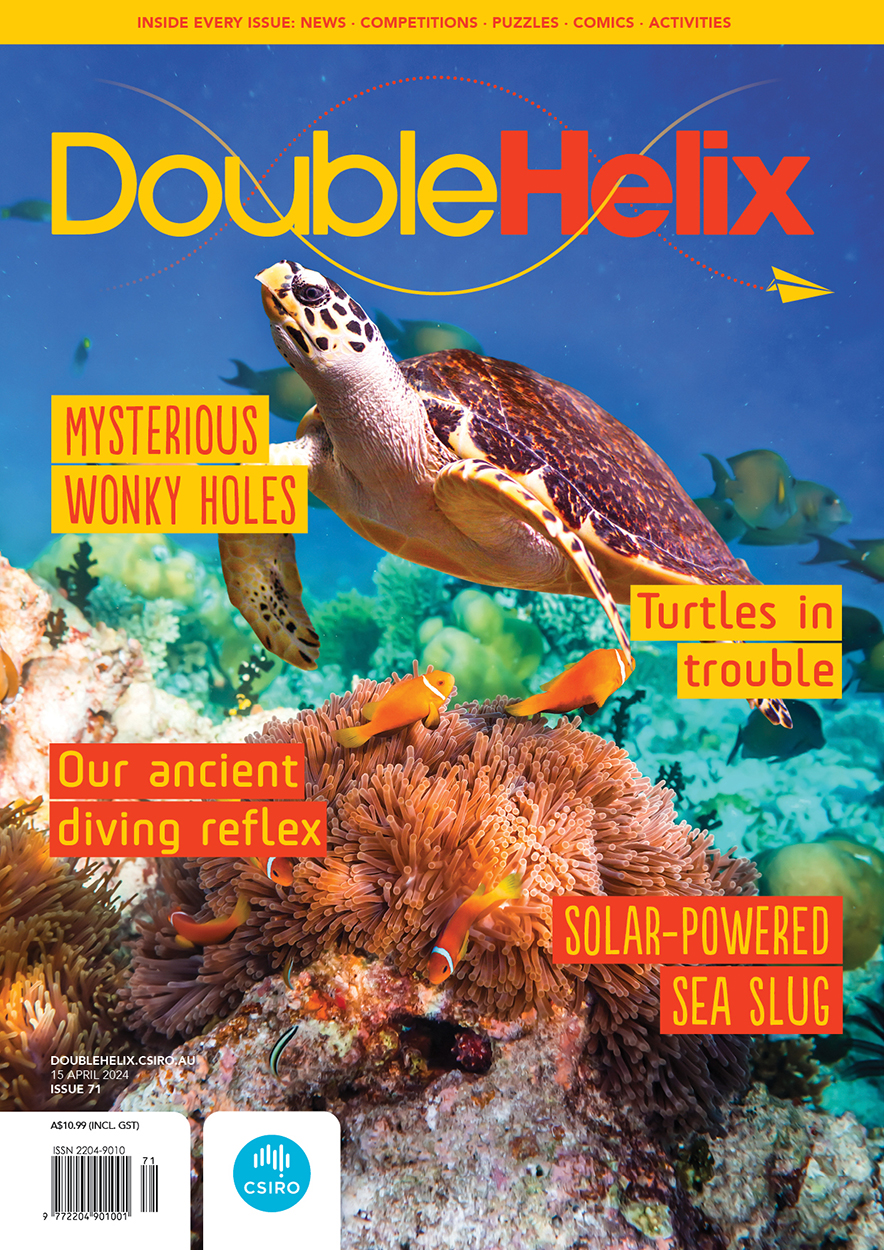 Cover of 'Double Helix' magazine issue 71 showing a turtle swimming over a vibrant reef.