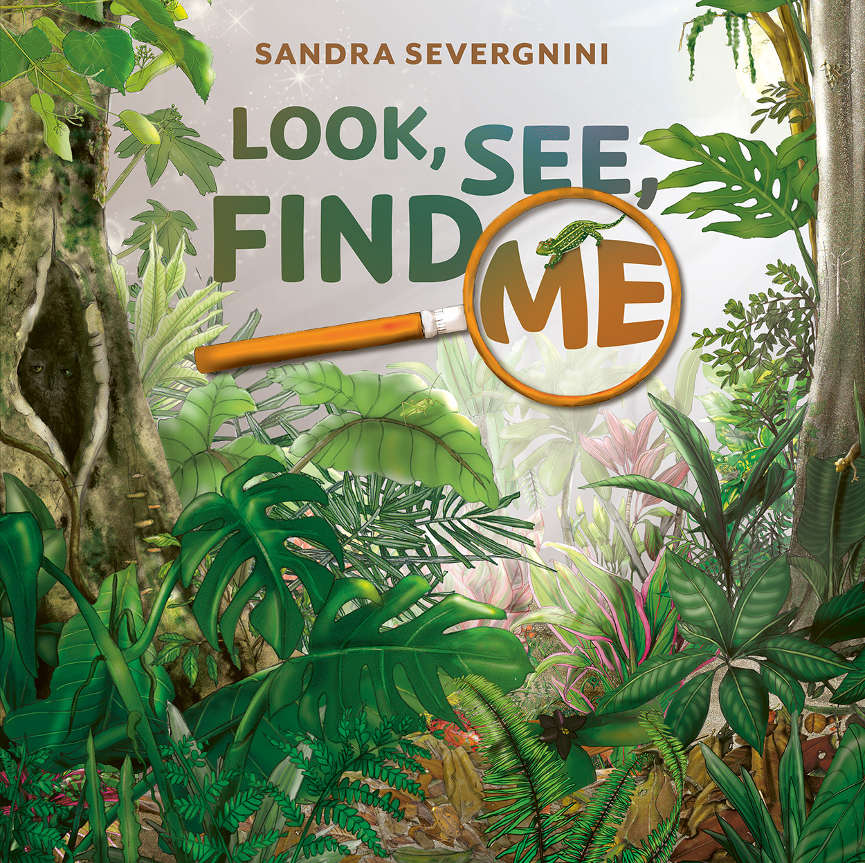 Cover of 'Look, See, Find Me', with an illustration of a lush forest with a variety of camouflaged animals hidden amongst the foliage.
