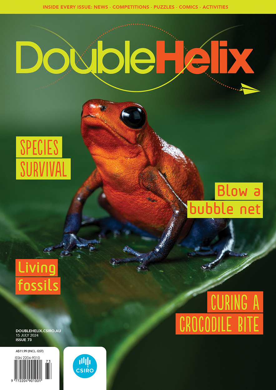 Cover of 'Double Helix' magazine issue 73 showing an orange and blue frog on a green leaf.