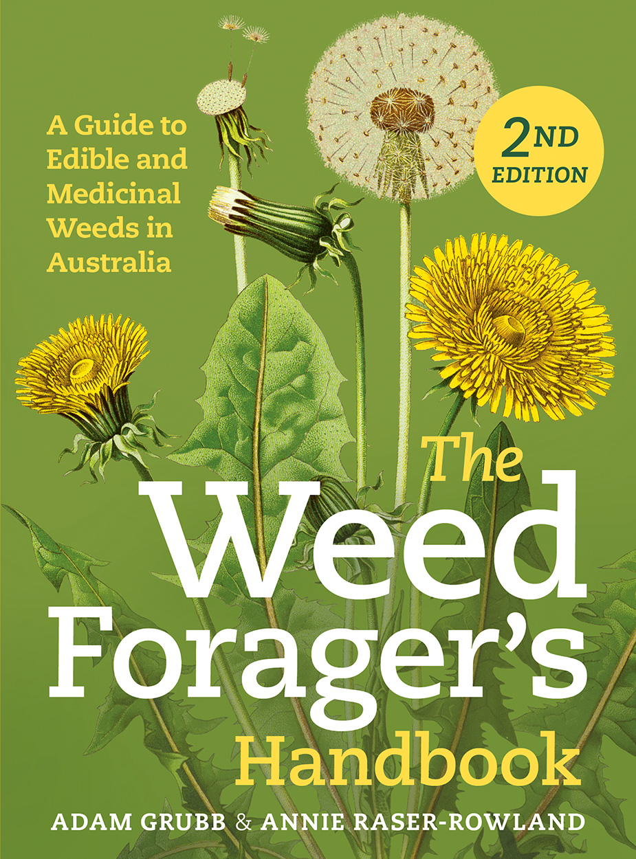 Cover of 'The Weed Forager's Handbook, Second Edition' featuring a historical illustration of a flowering dandelion.