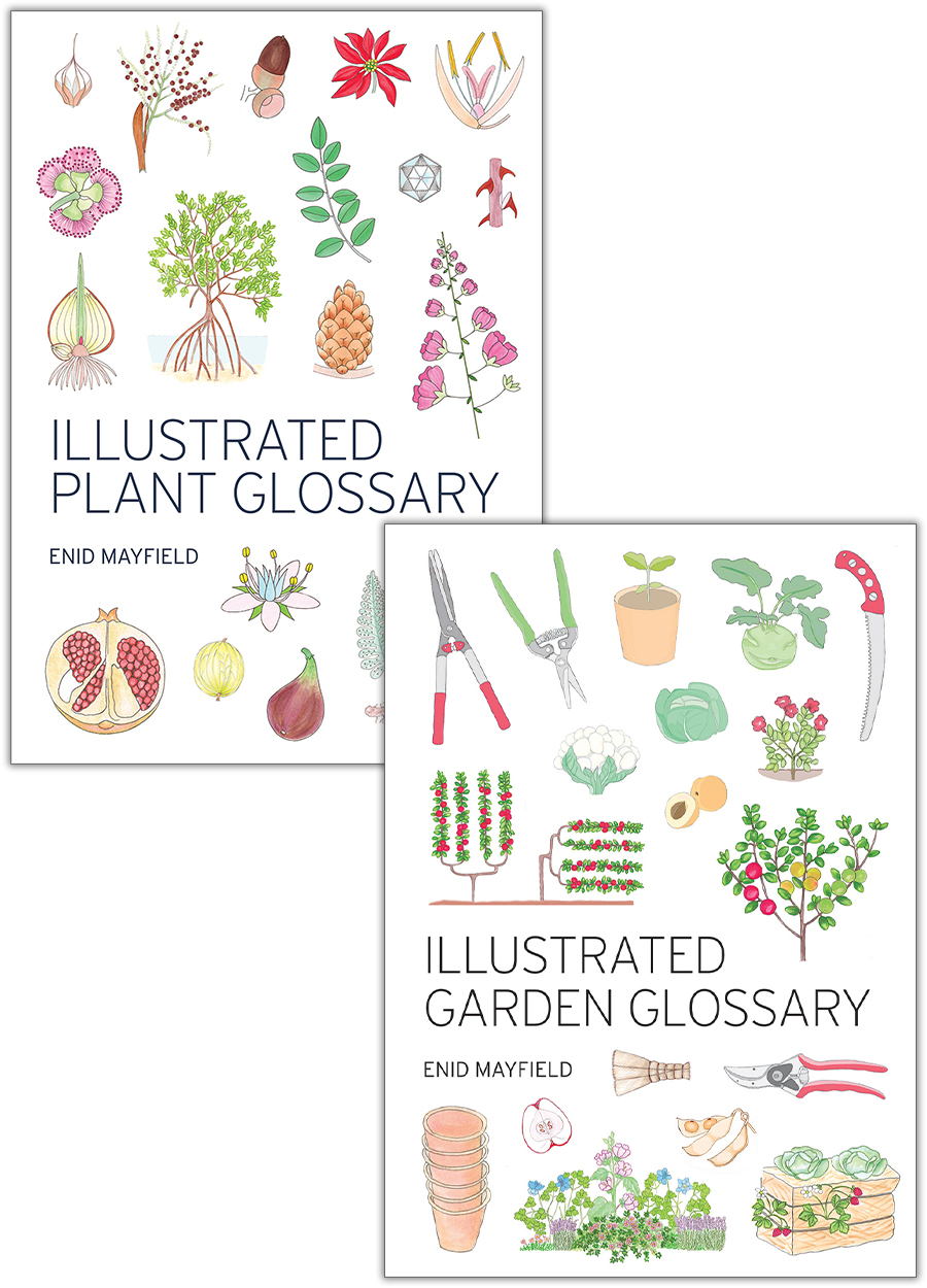 Covers of 'Illustrated Plant Glossary' and 'Illustrated Garden Glossary', featuring colourful illustrations of various plants, gardening equipment and