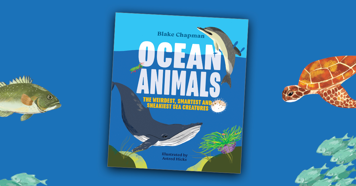 Ocean Animals, Blake Chapman, Astred Hicks, 9781486311415 Ocean Animals, Blake Chapman, Astred Hicks, 9781486311415