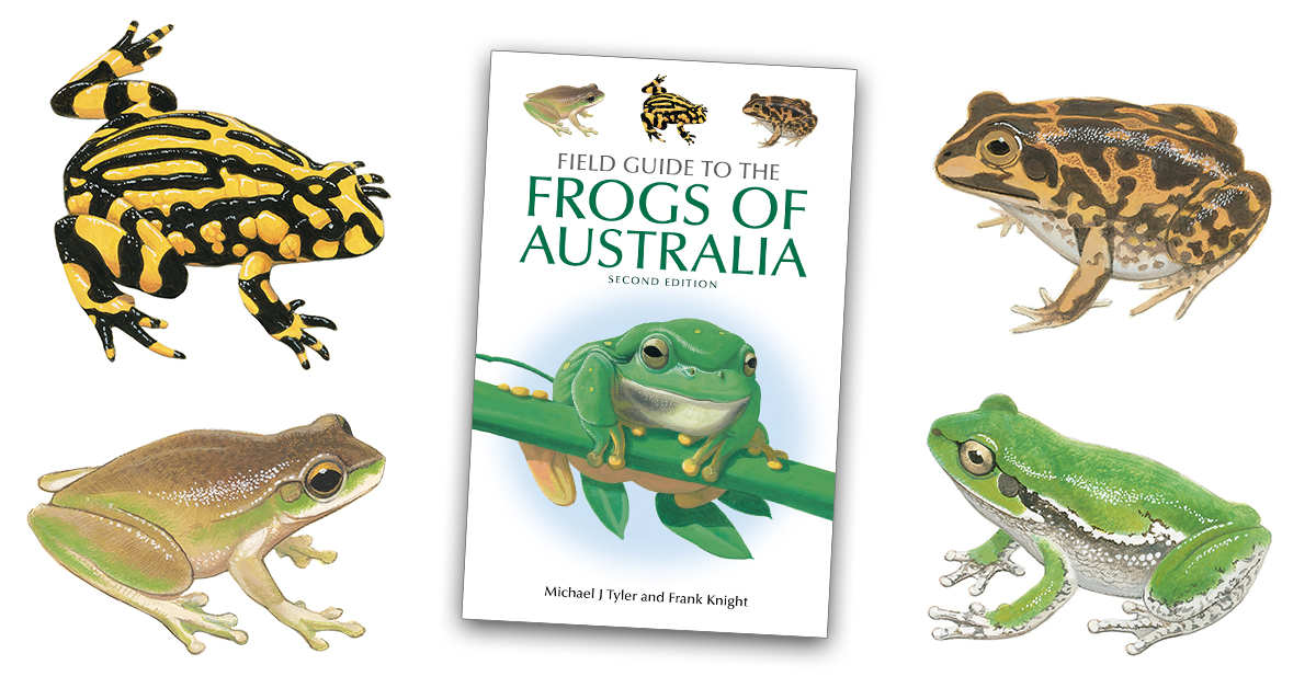 オーストラリアのカエルの本 Australian frogs 本 洋書 本 洋書 海外で