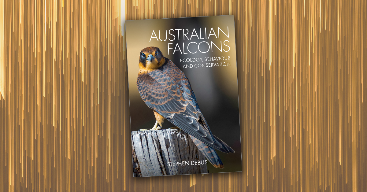 Australian Falcons - Vimarsana News