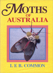 Moths of Australia