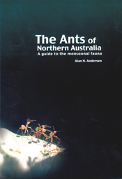 The cover image featuring four red coloured ants on a stone ground surrounded by a plain black cover.