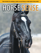 The cover image of Horse Sense, featuring the head and top half of the body of a black horse with a white star, wearing a bridal, against an out of fo
