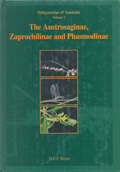 The cover image featuring three images of dragonflies, set into a dark green cover, with a lighter green insect outline.