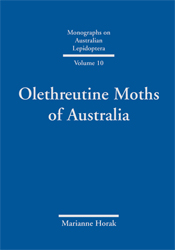 The cover image of Olethreutine Moths of Australia, featuring a plain mid