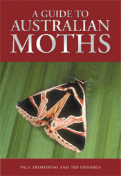 The cover image of A Guide to Australian Moths, featuring a brown and blac