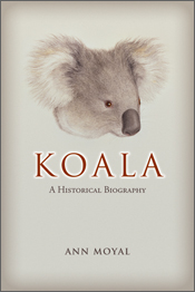 The cover image of Koala, featuring a side view of a koala head, with a pa