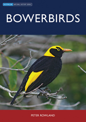 The cover image of Bowerbirds, featuring a black bird with a bright yellow