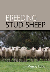 The cover image featuring a flock of sheep looking front on, standing in g
