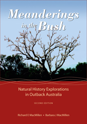 Cover image featuring a nearly silhouetted view of a tree covered in white