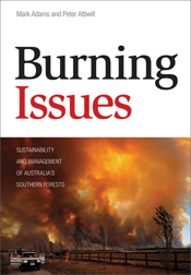 The cover image of Burning Issues, featuring billowing orange and grey smo