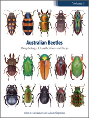 The cover image of Australian Beetles Volume 1, featuring 15 beetles of various shapes, colours and sizes in neat rows of five against a plain white b